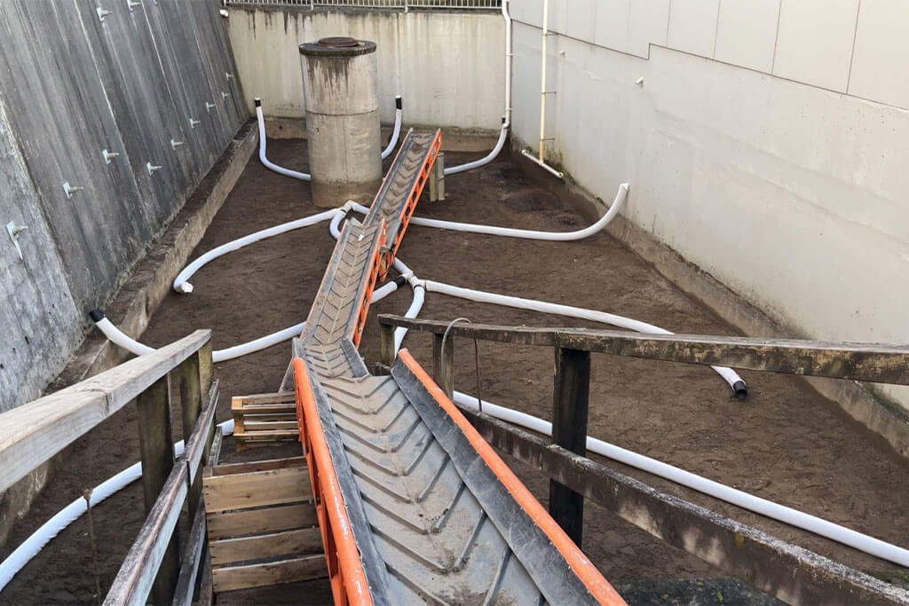 Complex sand-filter service - clean